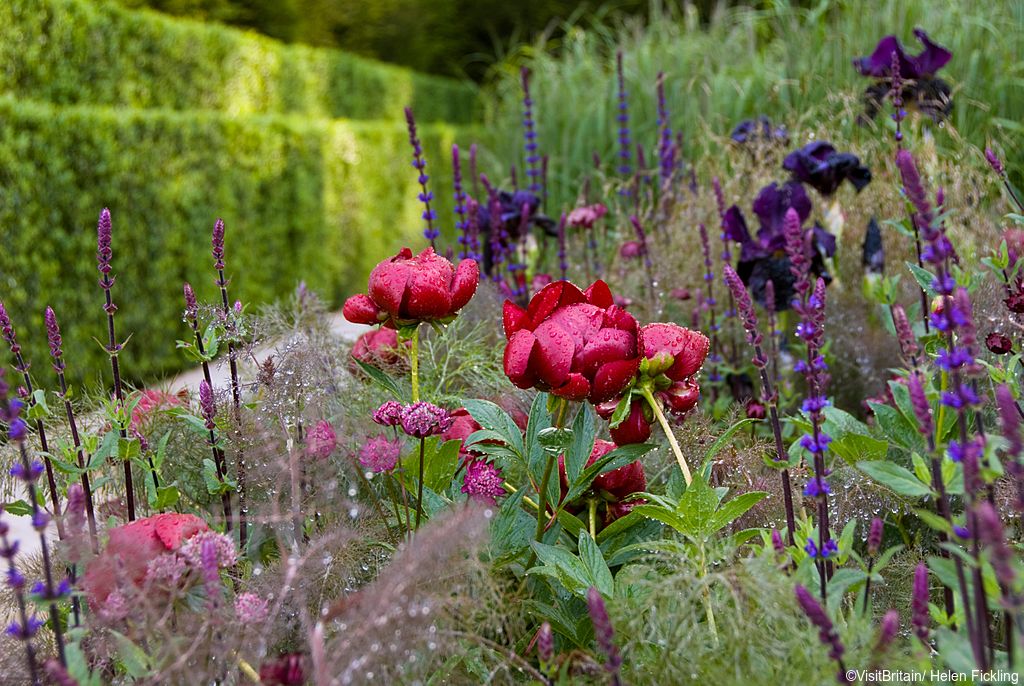 RHS Chelsea Flower Show vb34134067